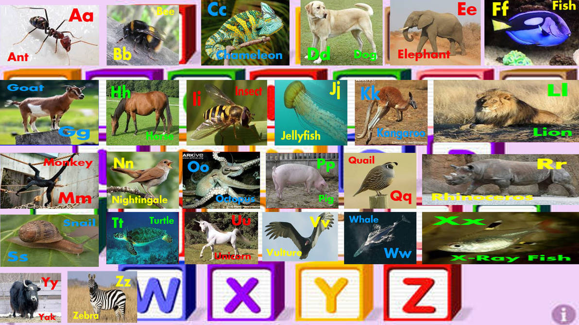 Starfall Animal Alphabet (Reboot) (Emmett) by WillardWalrus on DeviantArt