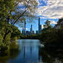 City Through the Park