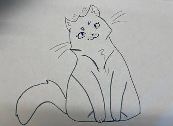 I Drew a Cat