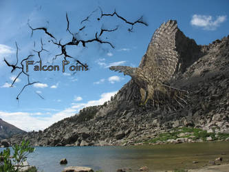 Shaman: falcon point