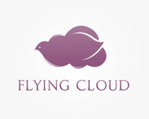 Flying Cloud Logo Design