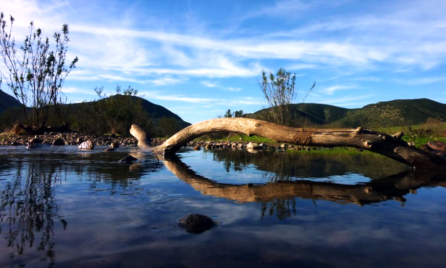 Beautiful Puddle