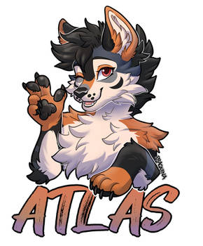 [C] ATLAS