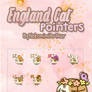 England Cat pointer ByNekomimiArthur