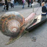 3D illusions: the snail