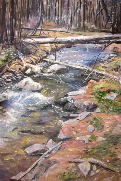 mountain stream