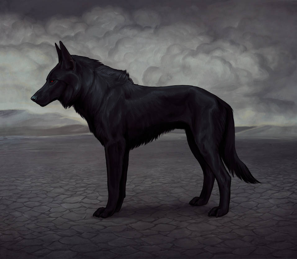 Благородный черный пес. Черная овчарка Сириус Блэк. Овчарка Баскервилей. Ярчук волк арт. Ярчук собака арт.