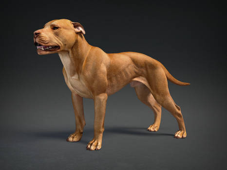 explore the best pitbull art deviantart