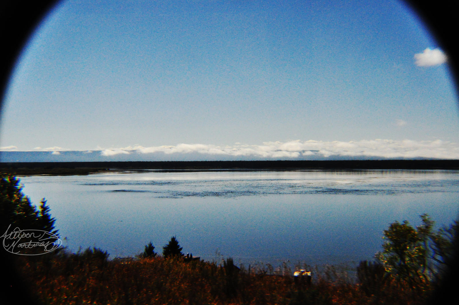 Out on the Lake