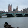 ducks in london