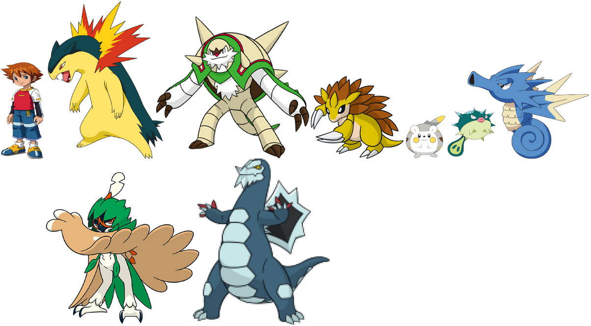 Pokemon Chris Rear View Chris Thorndyke and his Pokemon Team by ChipmunkRaccoonOz on DeviantArt