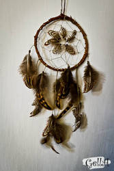 Dreamcatcher