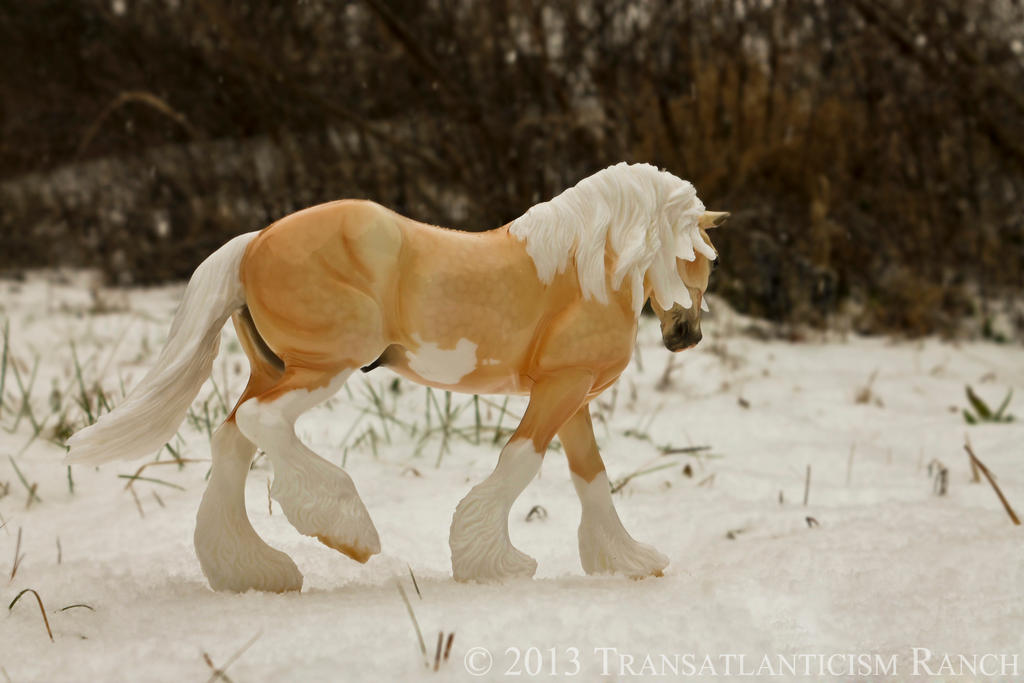 First Frost by TR-Ranch