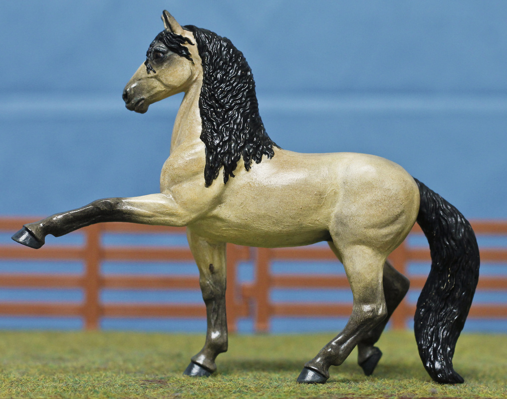 CM Safari Andalusian - 'Buen Intento' by TR-Ranch