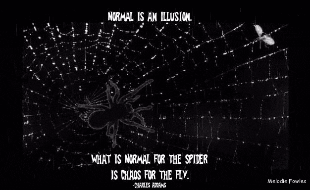 Normal Is An Illusion by Melodiezmelz on DeviantArt