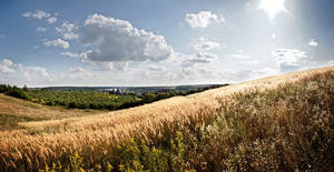 Krajobraz Klimontowa