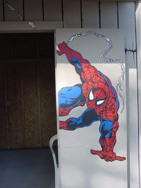 Spidey Door