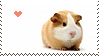 Guinea Pig Love stamp by Animal-Stamp