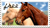 Horses free by Animal-Stamp