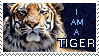 I am a Tiger