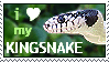 I love my Kingsnake by Animal-Stamp