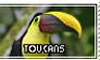 Toucans are better than one