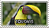 Toucans are better than one