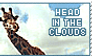 Head in the clouds