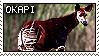 Okapi