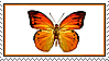 Orange Butterfly by Animal-Stamp