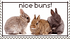 Nice buns by Animal-Stamp