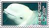 Beluga love by Animal-Stamp