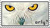 O rly by Animal-Stamp