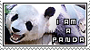 I am a panda by Animal-Stamp