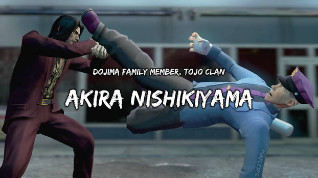Akira Nishikiyama's Fighting Styles by CapricornGuy on DeviantArt