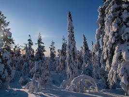 Finnish Lapland