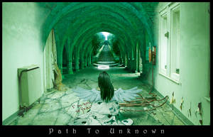 Path To Unknown