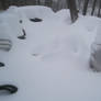 Blizzard Nemo 14