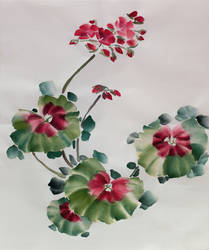 Geranium