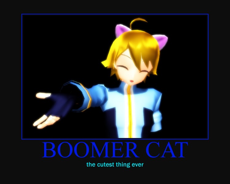 Boomer Cat Motivational Poster