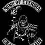 Sons of Eternia