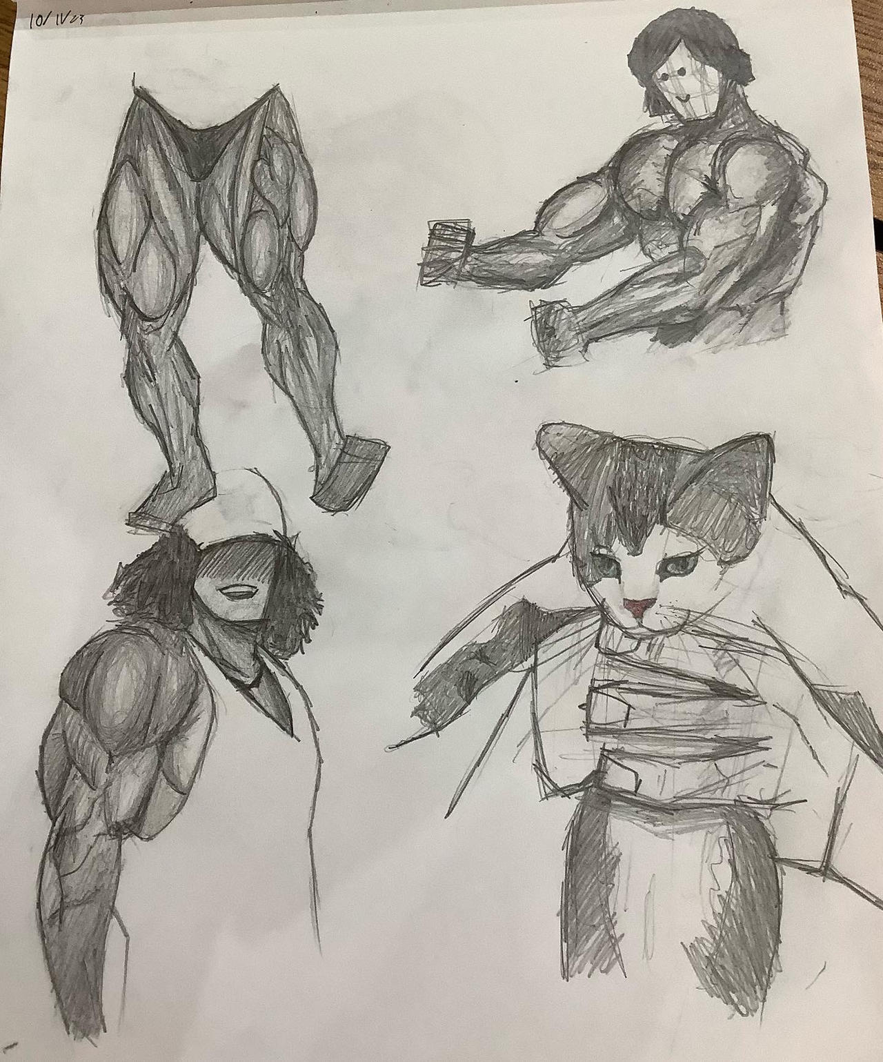 Animals. Muscle Deviantart Muscles by Declan-Doodles on DeviantArt