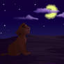 Simba Looks to the Stars