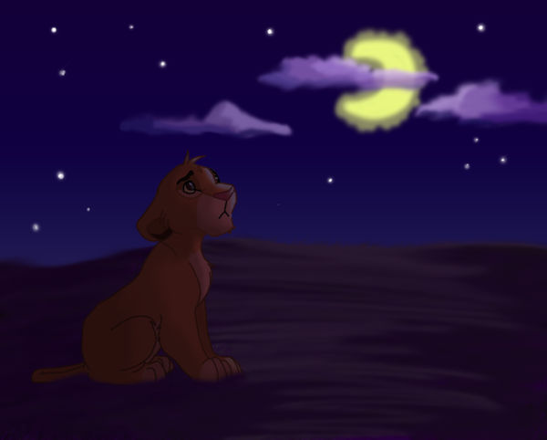 Simba Looks to the Stars