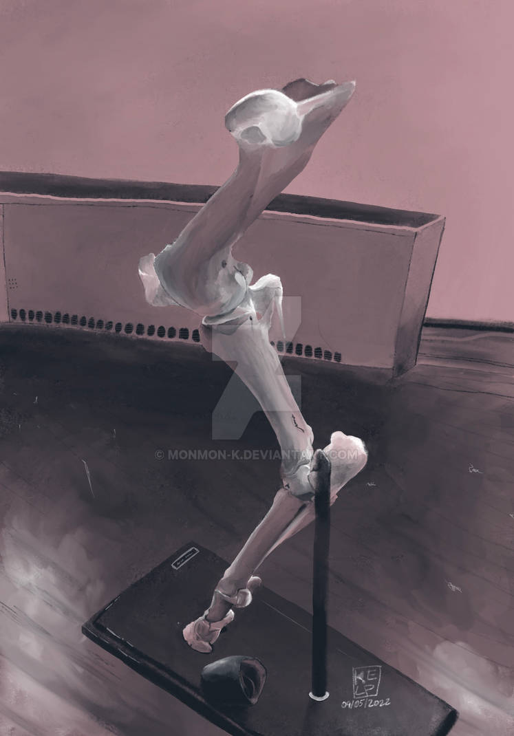 Leg Modification Deviantart Leggy-Leg by monmon-K on DeviantArt