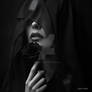 The Elegance of Shadows: A Rose Veiled in Mystery