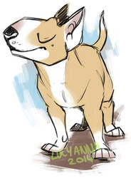 Bull Terrier Sketch