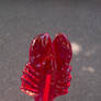 Lobster Lollipop