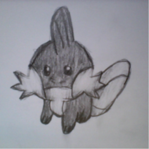 Pokemon ART I Generation 3: #258 Mudkip