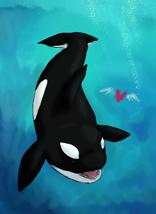 Whale Love